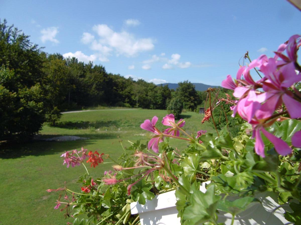 Bed and Breakfast House Biba & Leona Rastovača Esterno foto
